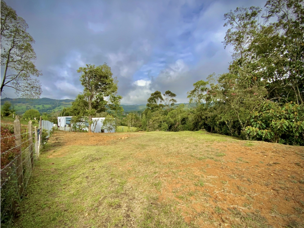 Venta Espectacular Lote Independiente Vista y Licencia Alto Palmas — foto 3