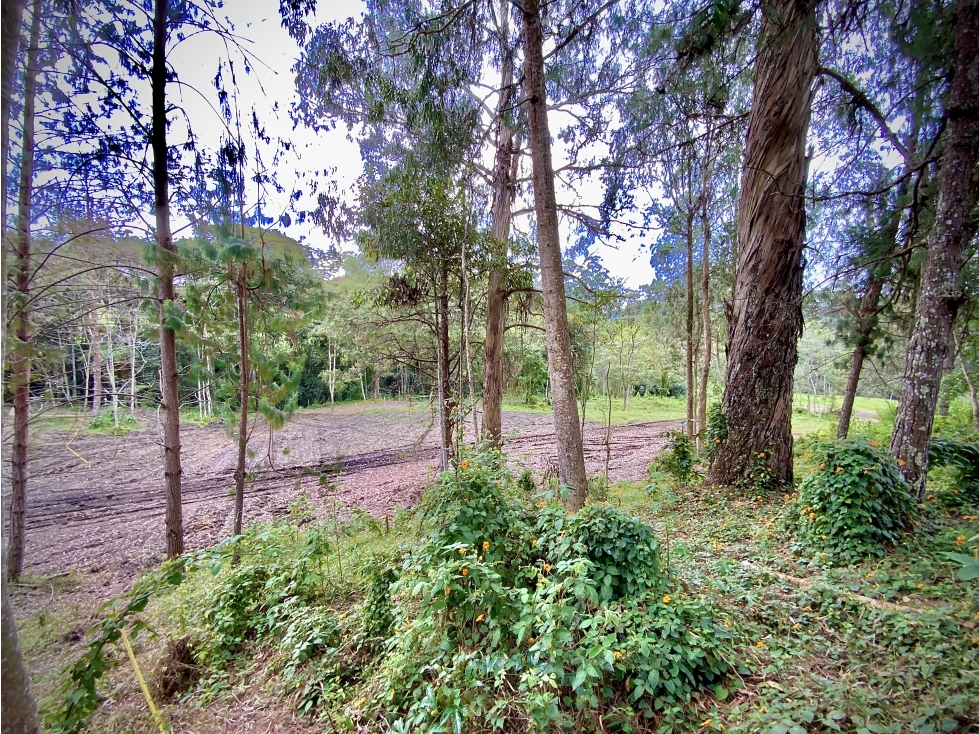 Venta Lote Inmerso Bosque Alta Valorizacion Parcelación La Ceja — foto 3