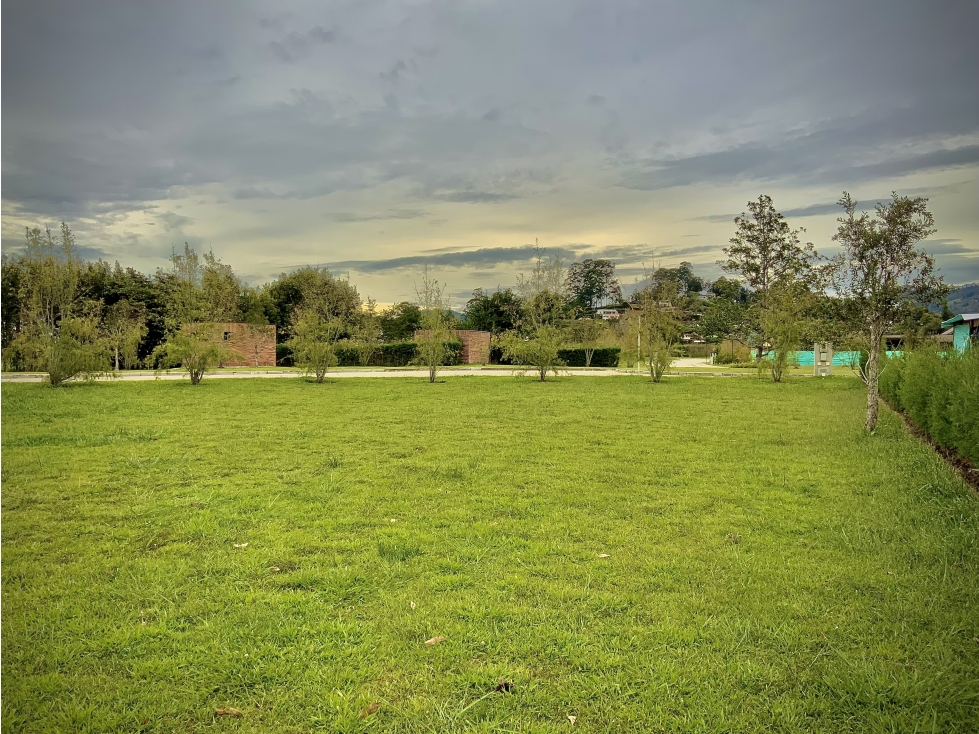 Venta Lote Parcelación Milla de Oro Llanogrande - 3