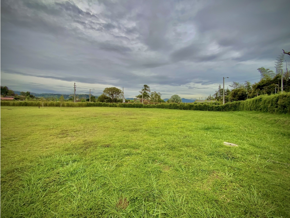 Venta Lote Parcelación Milla de Oro Llanogrande - 3