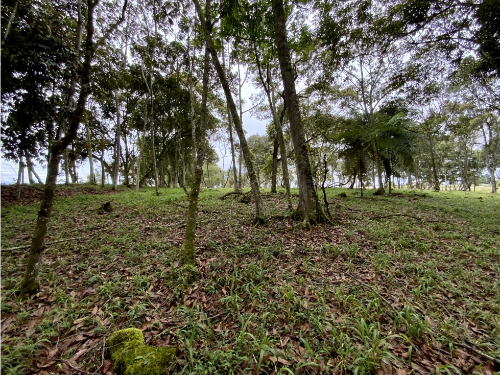 Venta Espectacular 2 aguas Lote Plano Parcelar 5 minutos Llanogrande — foto 6