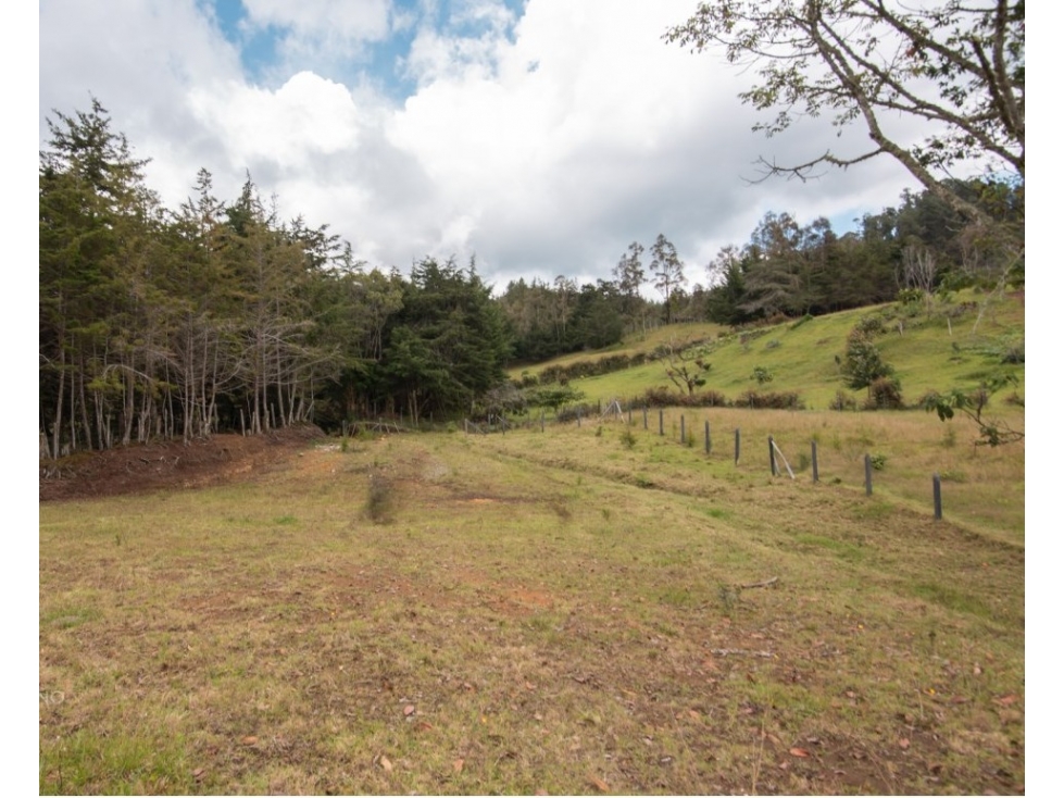Lote Independiente Sector Chaparral - 4