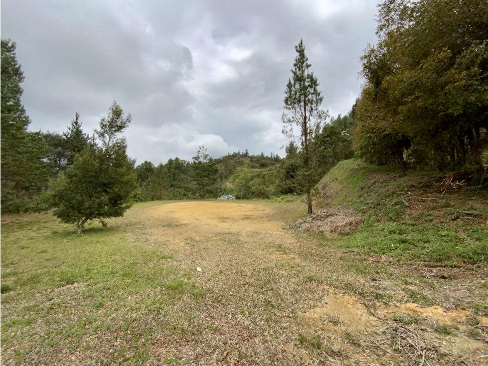 venta Lote Bosque + Quebrada Parcelacion Alto Palmas