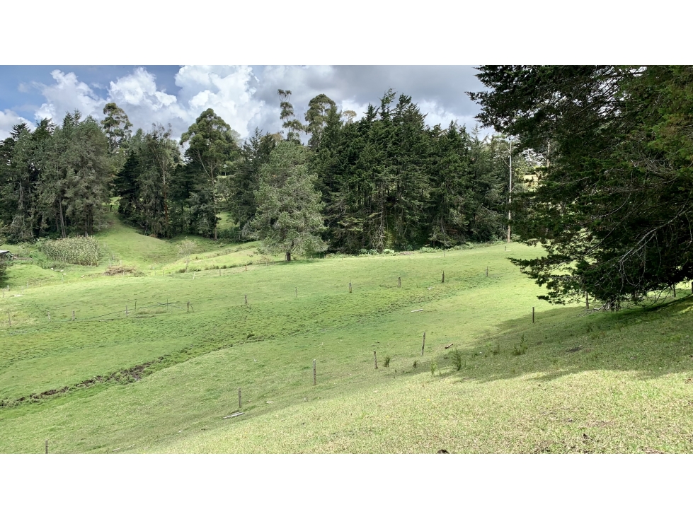 Venta Espectacular Lote Semiplano Parcelar 3 Aguas Alto Palmas — foto 4