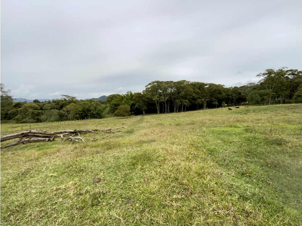 Venta Espectacular 2 aguas Lote Plano Parcelar 5 minutos Llanogrande