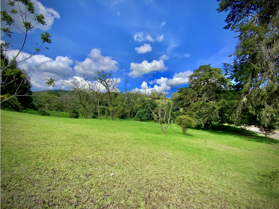 Venta Lote Parcelacion Alto Palmas — foto 4