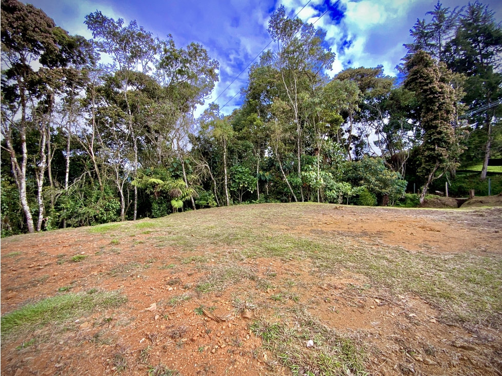 Venta Espectacular Lote Independiente Vista y Licencia Alto Palmas — foto 4