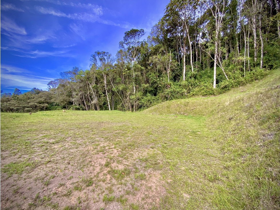 Venta Lote Parcelación Vista Explanacion Bosque Nativo El Retiro — foto 4