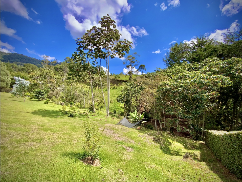 Venta Lote Vista Panoramica Parcelacion Via San Antonio La Ceja — foto 4