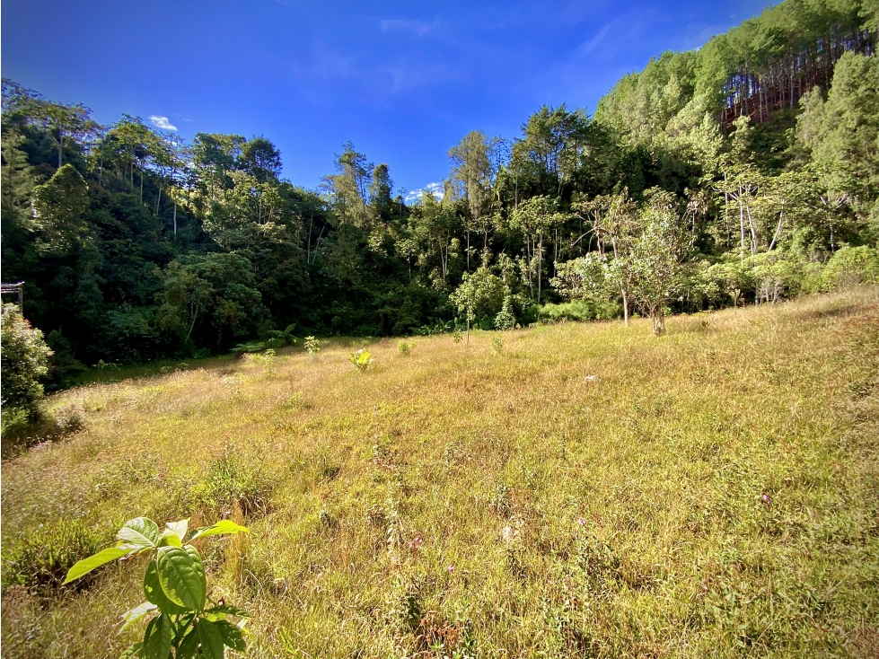 Venta Lote Parcelacion El Retiro — foto 4