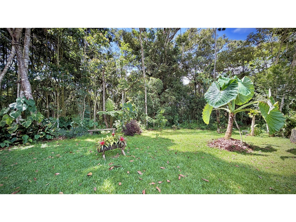 Venta Casa Lote Semi Parcelacion Llanogrande — foto 4