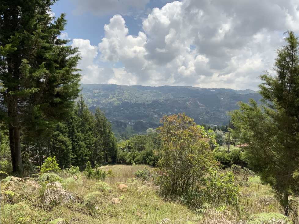 Finca Guarne 2 Matriculas Sector Autopista — foto 4