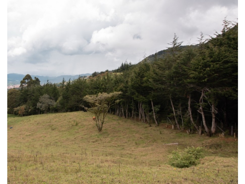 Lote Independiente Sector Chaparral - 5