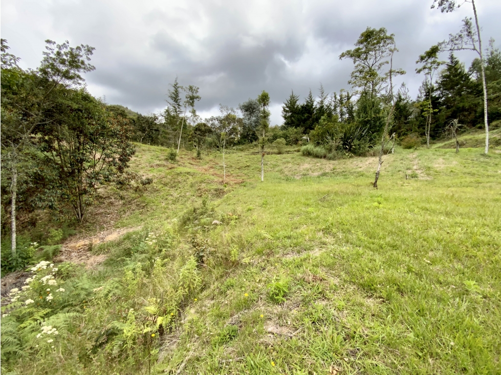 Venta Lote Parcelacion Via Las Palmas Sector Los Salados (Retiro) — foto 4
