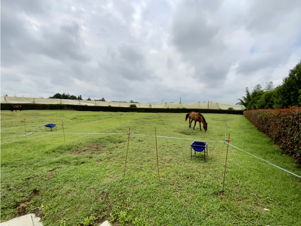 Venta Espectacular Lote 100% plano Parcelación Llanogrande — foto 5