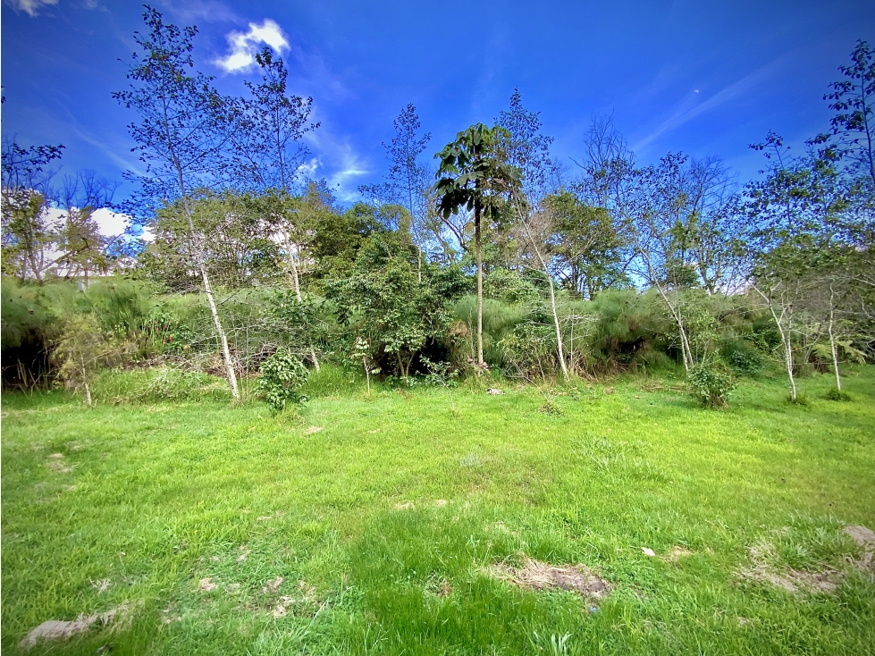 Venta Lote Parcelacion Alto Palmas — foto 5