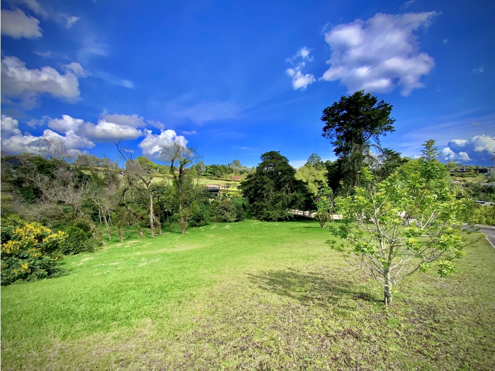 Venta Lote Parcelacion Alto Palmas — foto 5