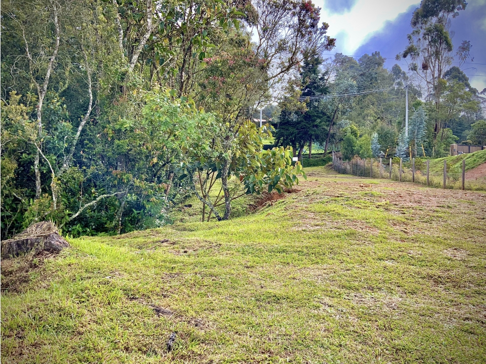 Venta Espectacular Lote Independiente Vista y Licencia Alto Palmas — foto 5