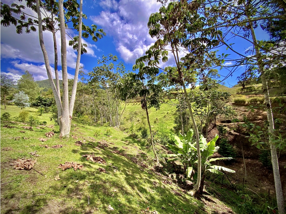 Venta Lote Vista Panoramica Parcelacion Via San Antonio La Ceja — foto 5