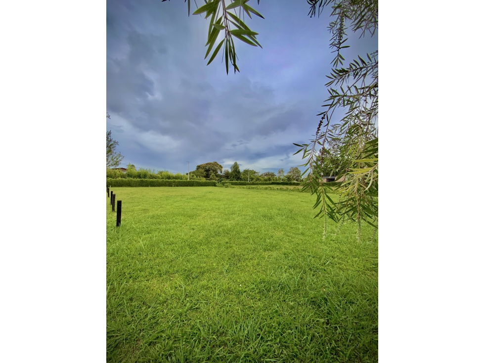 Venta Lote Parcelación Milla de Oro Llanogrande - 5