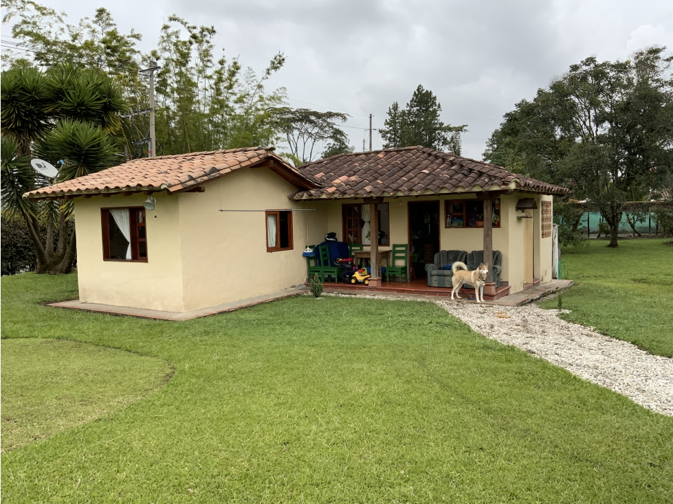 Venta Finca Uso Comercial Llanogrande - 6
