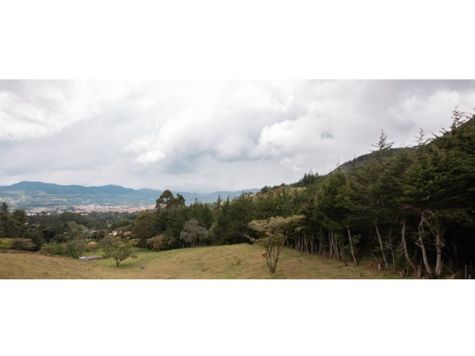 Lote Independiente Sector Chaparral - 6