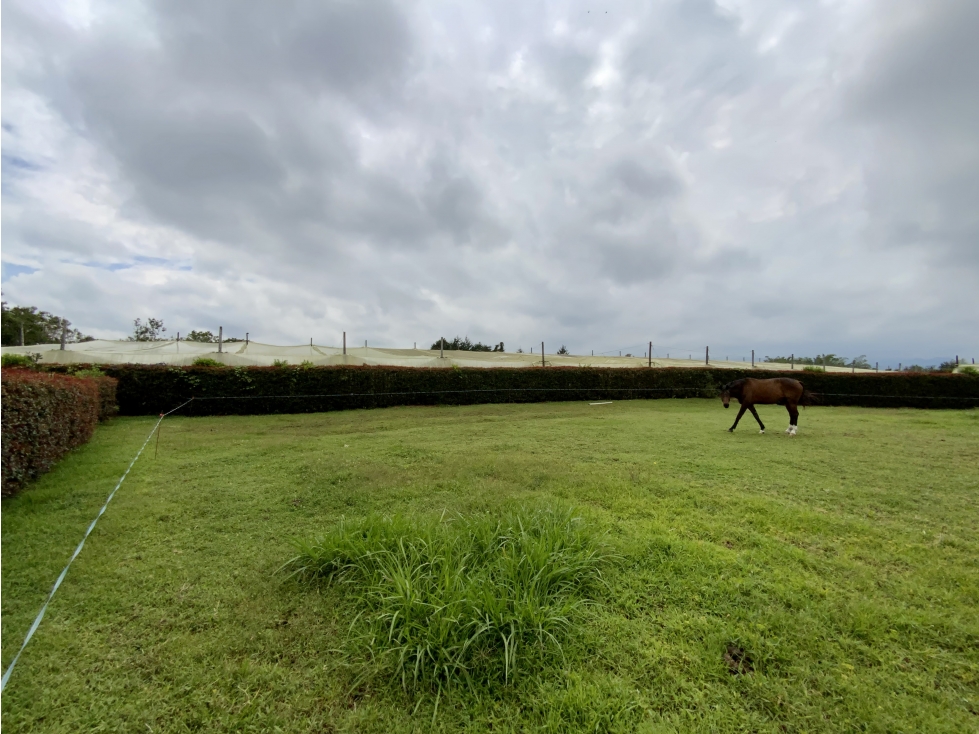Venta Espectacular Lote 100% plano Parcelación Llanogrande — foto 6