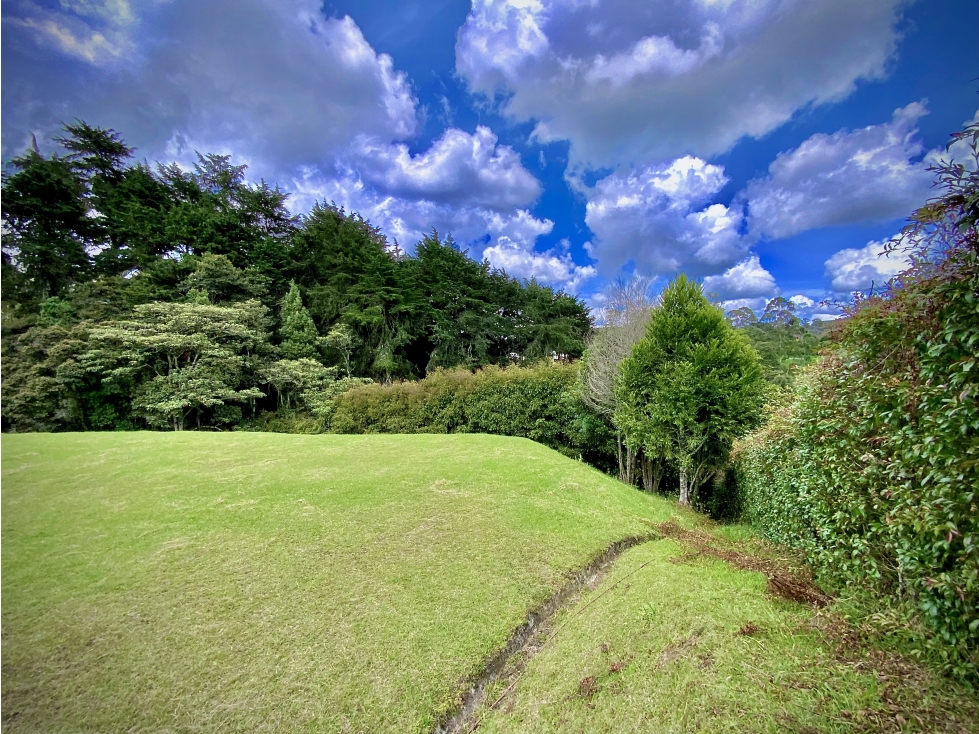 Venta Lote Vista Bosque Parcelacion Alto Palmas — foto 4