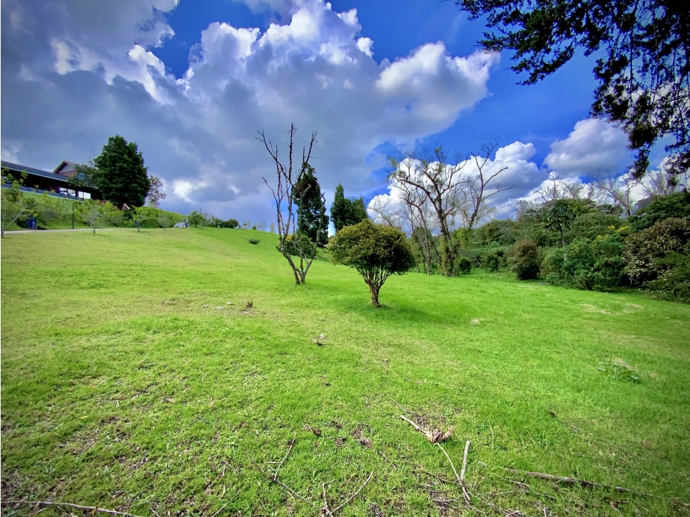 Venta Lote Parcelacion Alto Palmas — foto 6