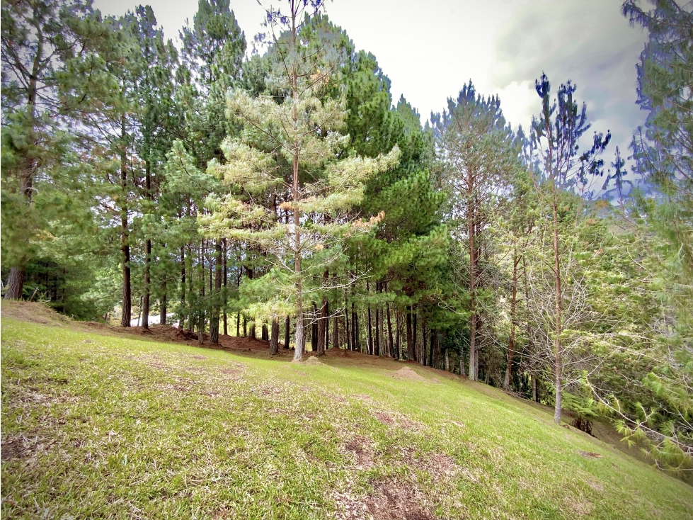 Venta Lote Bosque Vista Parcelacion El Retiro