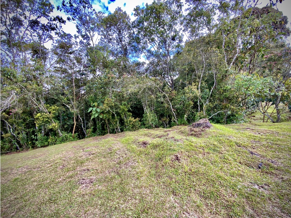 Venta Espectacular Lote Independiente Vista y Licencia Alto Palmas — foto 6