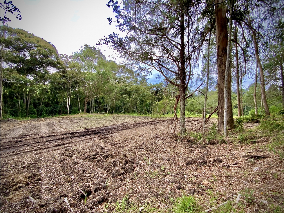 Venta Lote Inmerso Bosque Alta Valorizacion Parcelación La Ceja — foto 6