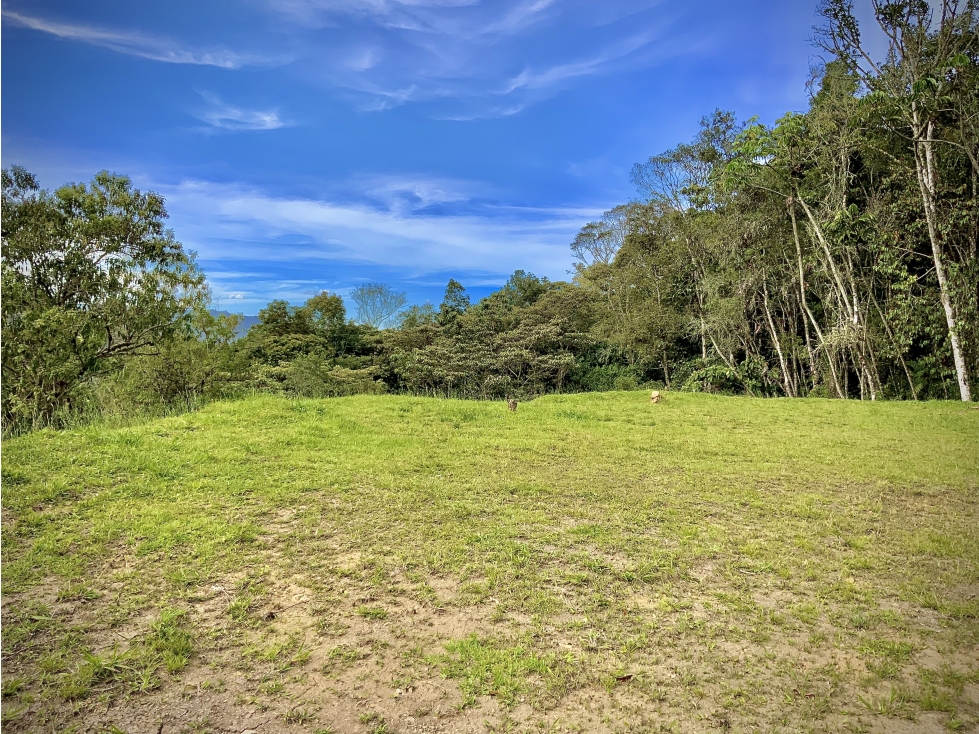 Venta Lote Parcelación Vista Explanacion Bosque Nativo El Retiro — foto 6