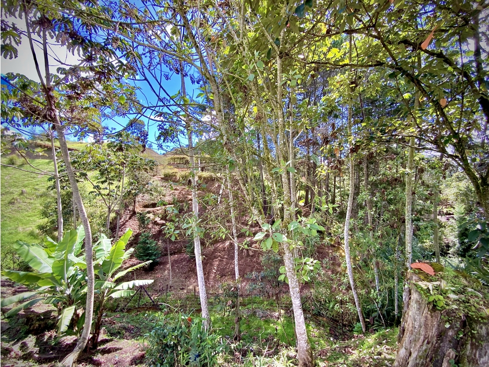 Venta Lote Vista Panoramica Parcelacion Via San Antonio La Ceja — foto 6