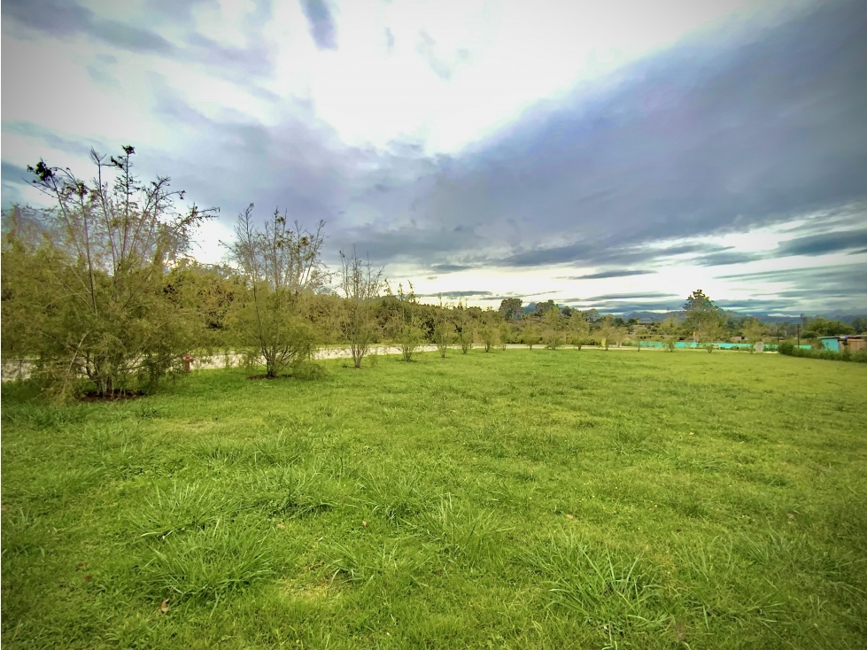 Venta Lote Parcelación Milla de Oro Llanogrande - 6