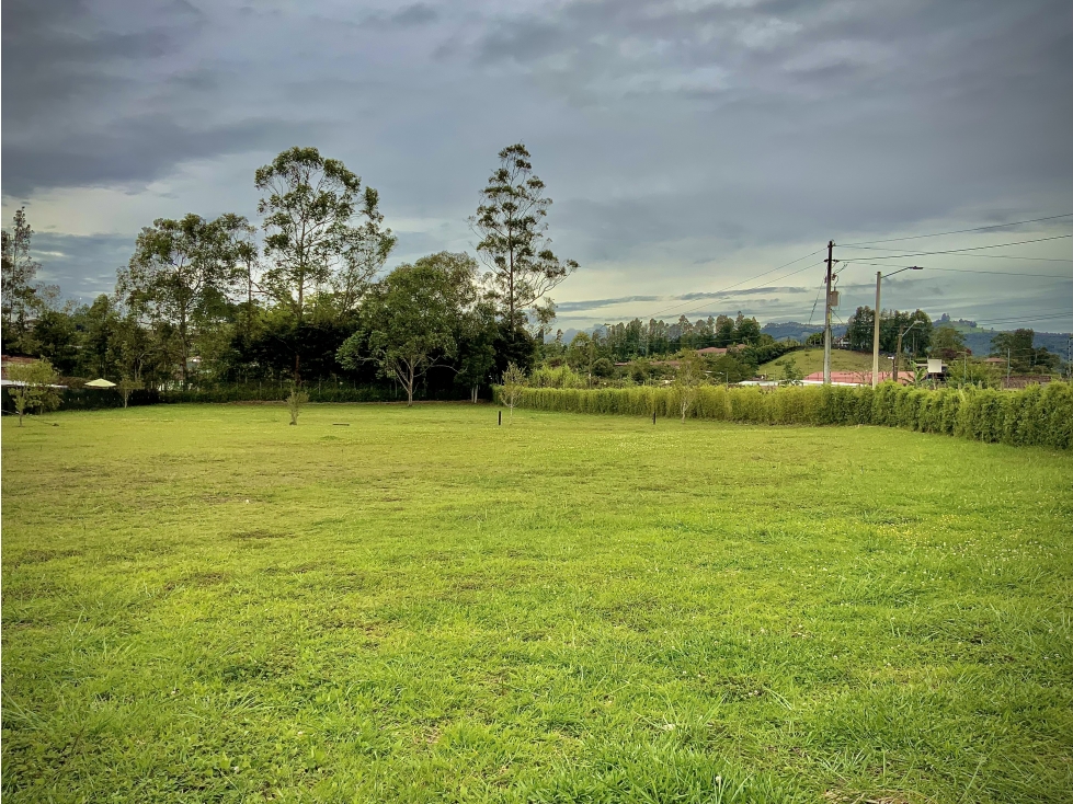 Venta Lote Parcelación Milla de Oro Llanogrande - 6