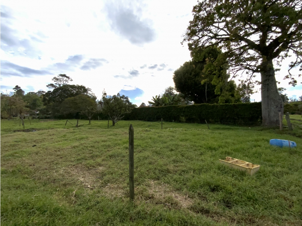 Venta Finca Parcelacion Llanogrande Sector La Amalita — foto 4