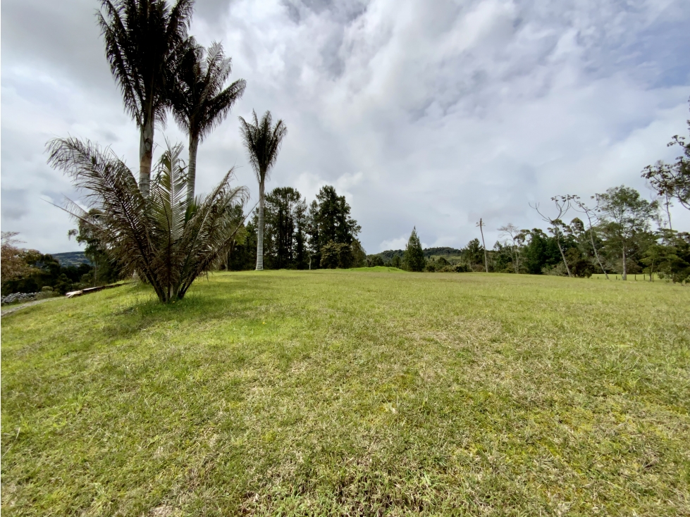 Venta Espectacular Lote vista 360 Parcelacion Alto Palmas — foto 3