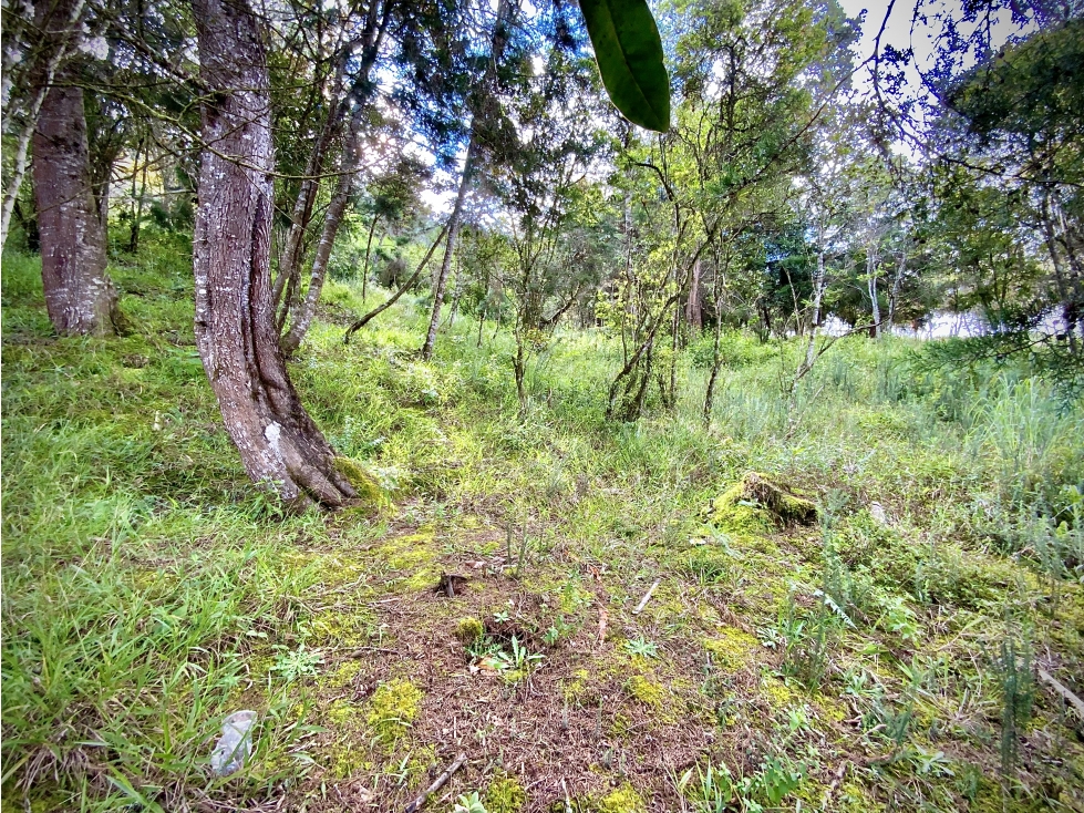 Venta Lote Parcelacion Carril de Nado El Retiro Agua Energia Ptard — foto 2