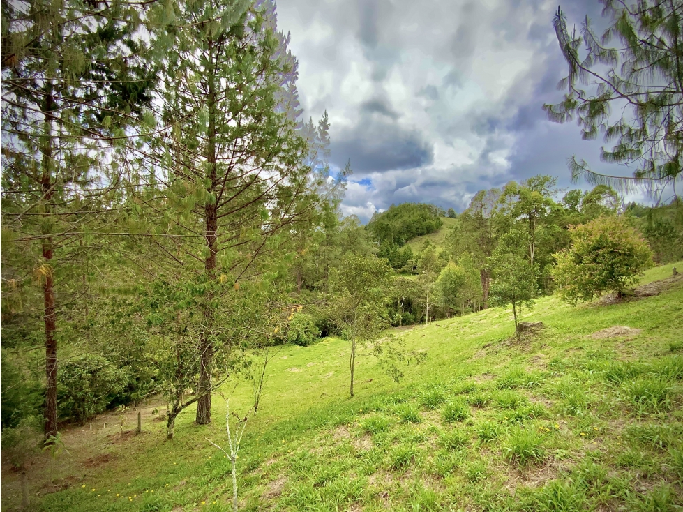 Venta Espectacular Lote Vista Verde y Privacidad Parcelacion El Retiro — foto 4