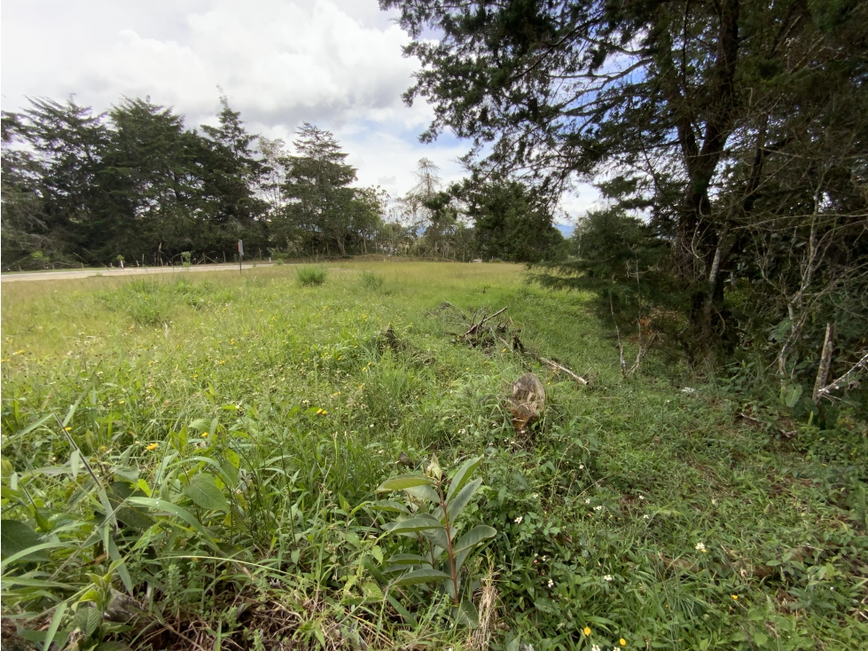 venta Lote Parcelacion Via San Antonio La Ceja