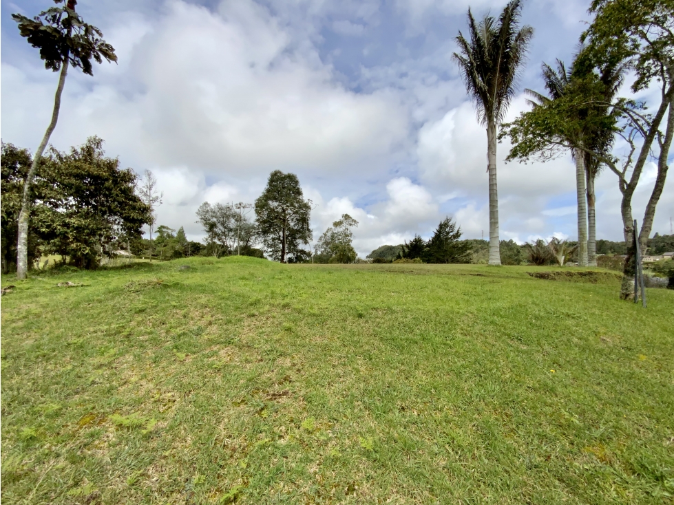 Venta Espectacular Lote vista 360 Parcelacion Alto Palmas — foto 6