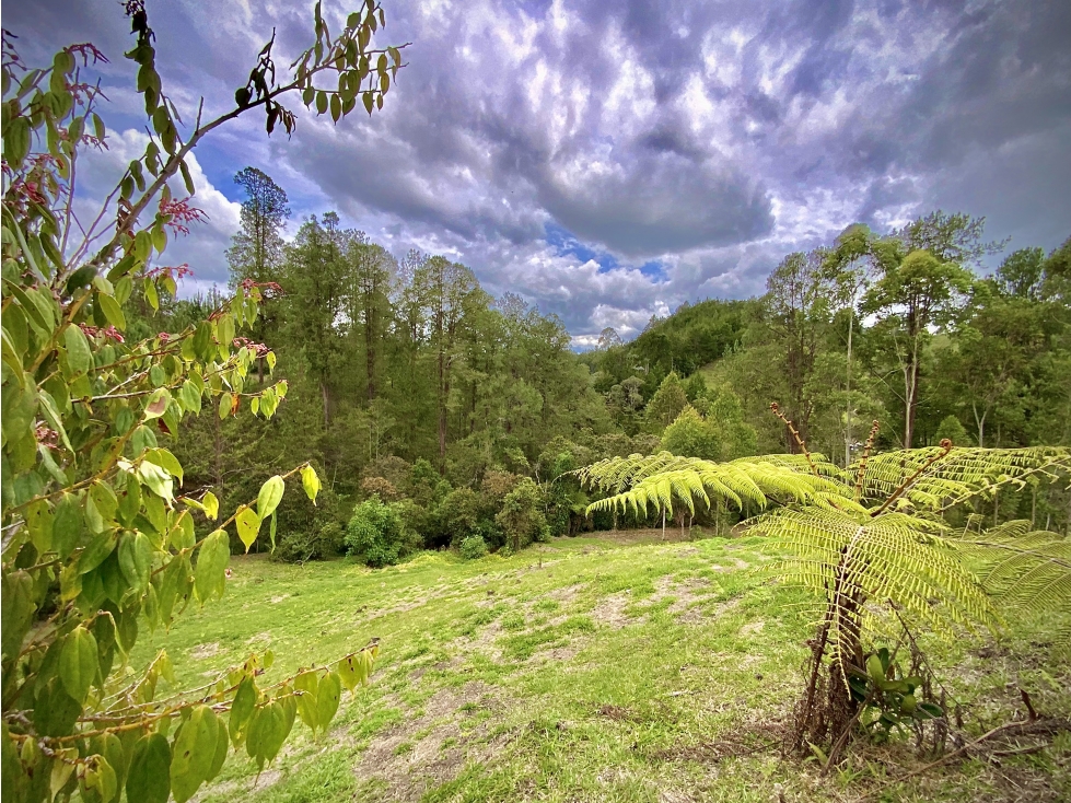 Venta Espectacular Lote Vista Verde y Privacidad Parcelacion El Retiro