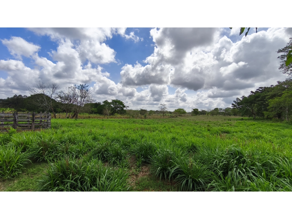 VENTA DE FINCA EN GALERAS SUCRE - 3