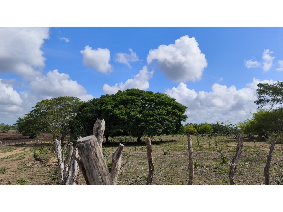 VENTA DE FINCA EN GALERAS SUCRE - 4
