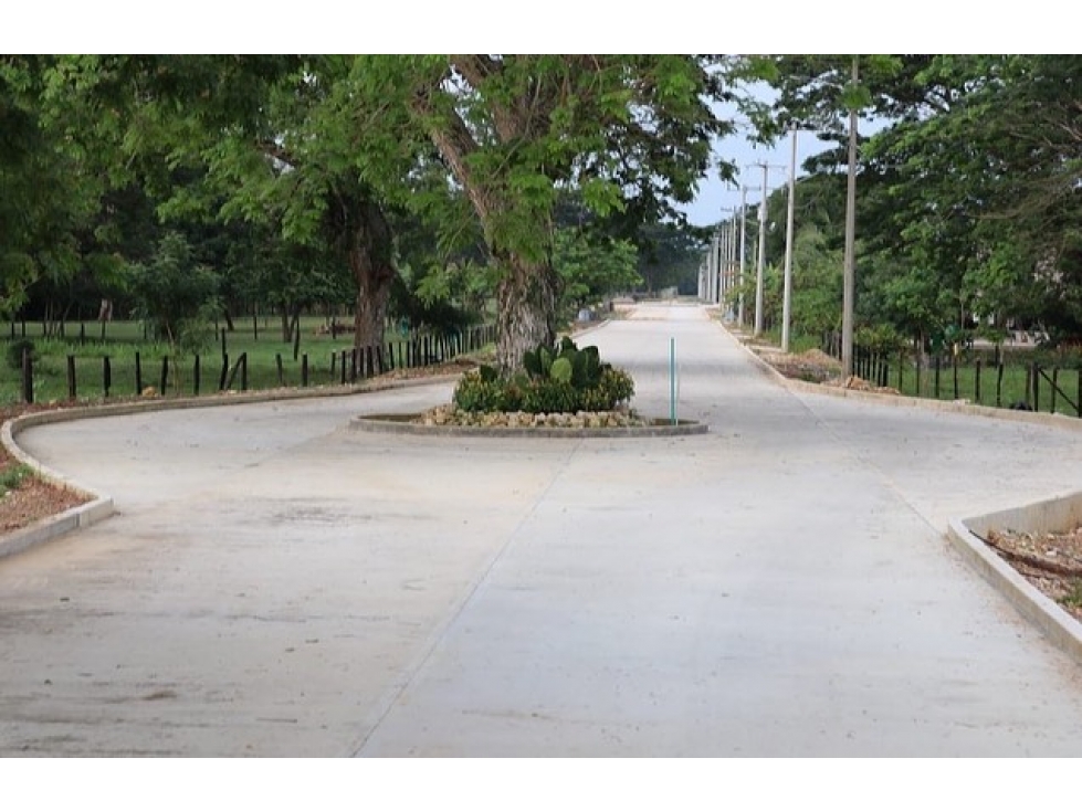 VENTA DE LOTES CAMPESTRES EN TOLU CERCA AL MAR - 2