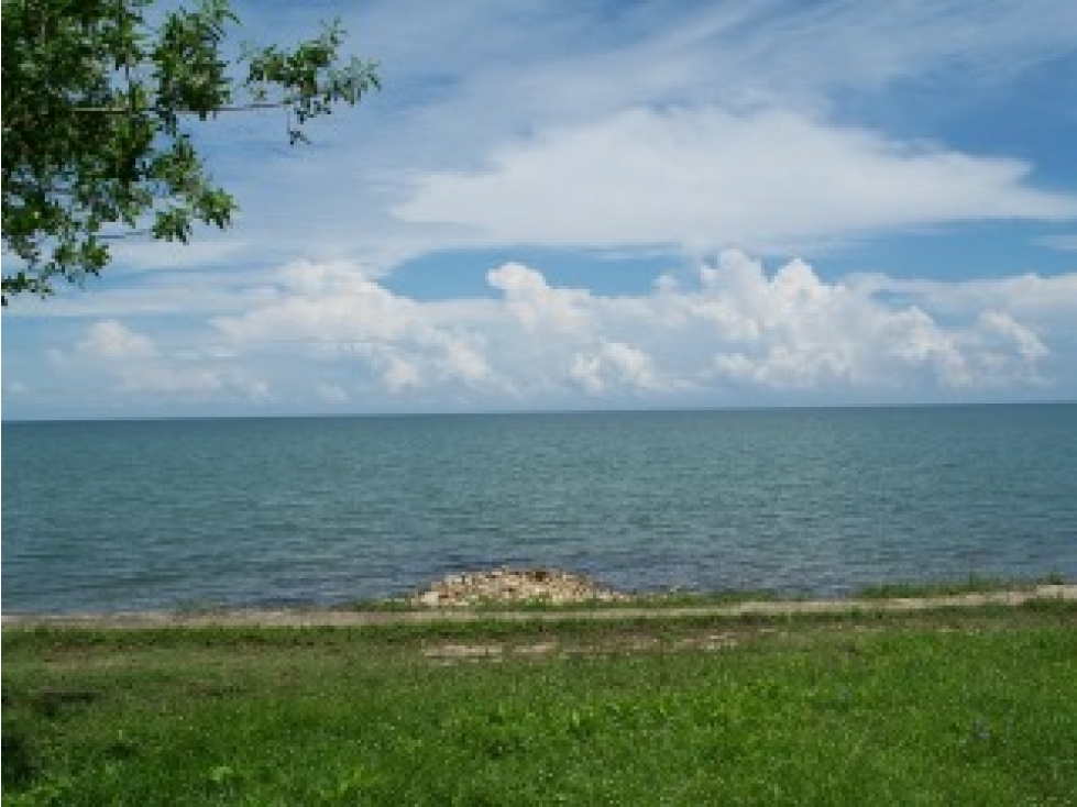 VENTA DE LOTE FRENTE AL MAR EN TOLU - 1