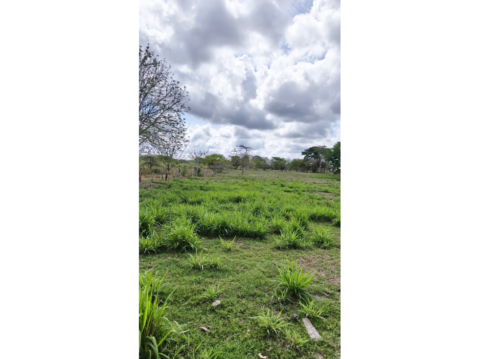 VENTA DE FINCA EN GALERAS SUCRE - 5