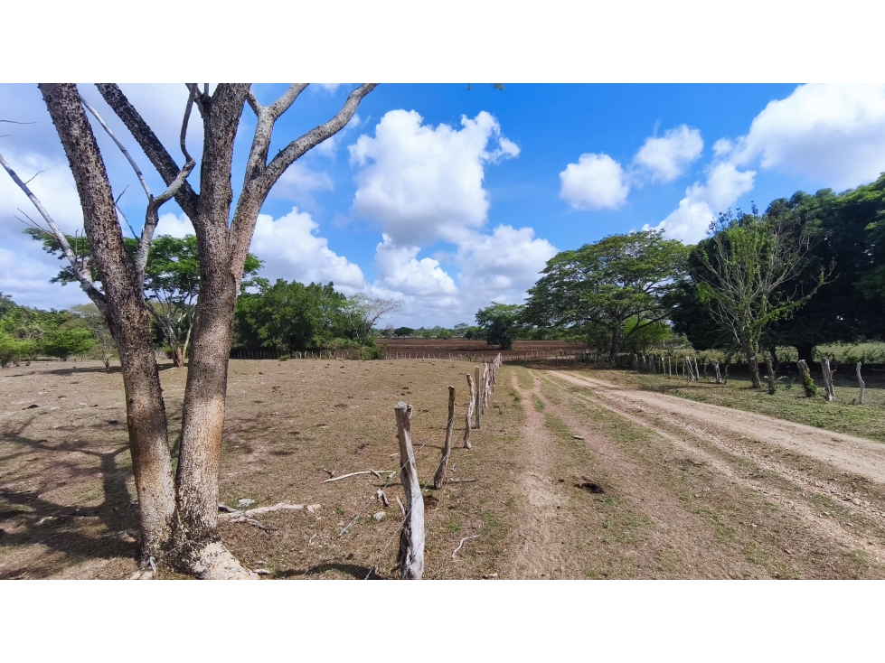 VENTA DE FINCA EN GALERAS SUCRE - 6