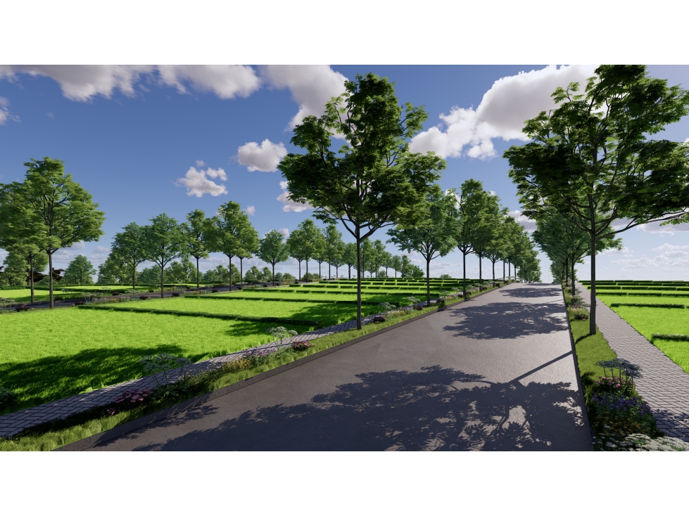VENTA DE LOTES EN COROZAL - 4